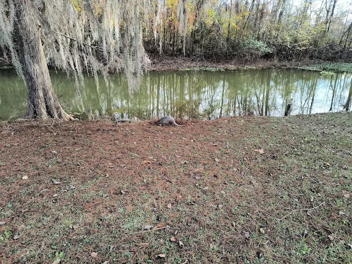 Hales Landing Campground Picture 3