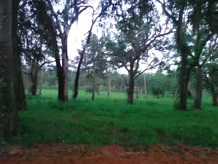Fins and Feathers Campground Picture 4