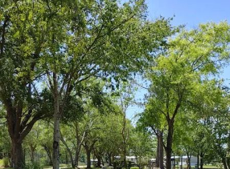 Fins and Feathers Campground