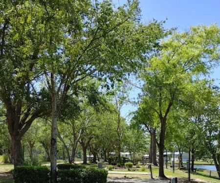 Fins and Feathers Campground