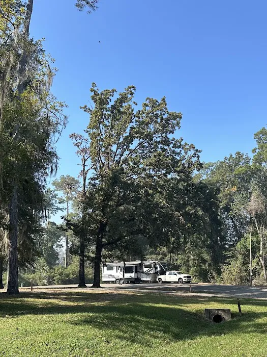 River Junction (COE) Campground Picture 8