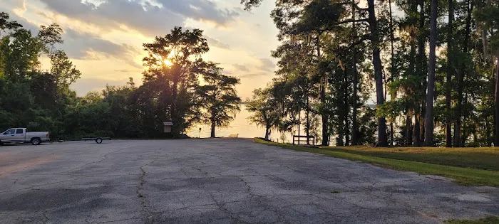 River Junction (COE) Campground Picture 7