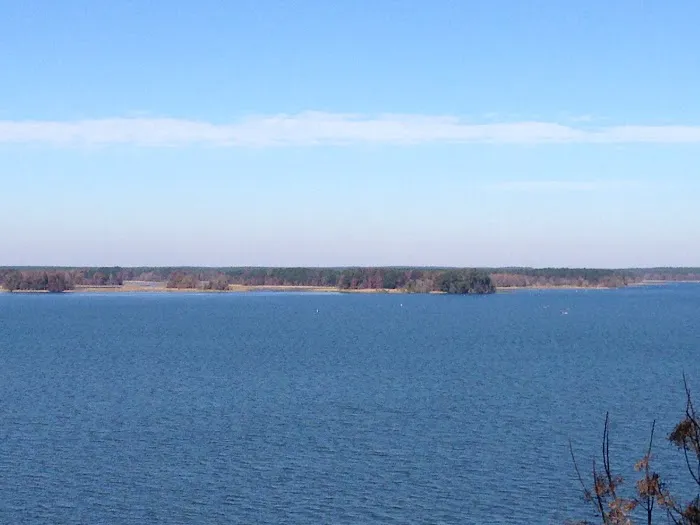 Ya Ya’s Lake Seminole RV Park Picture 4