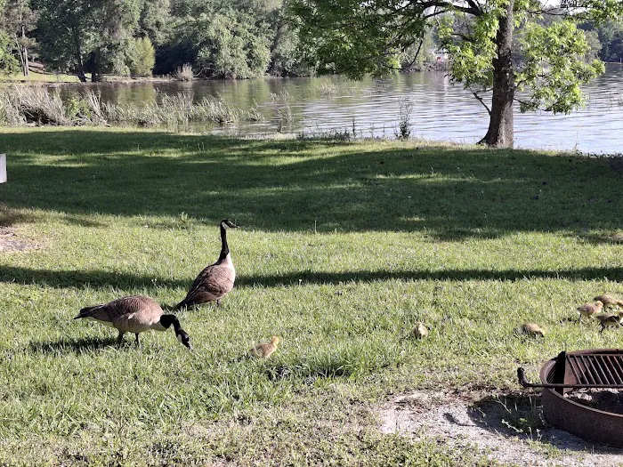 East Bank Campground Picture 6