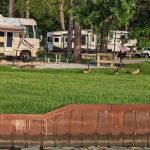 COE Lake Seminole