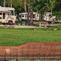 COE Lake Seminole ico