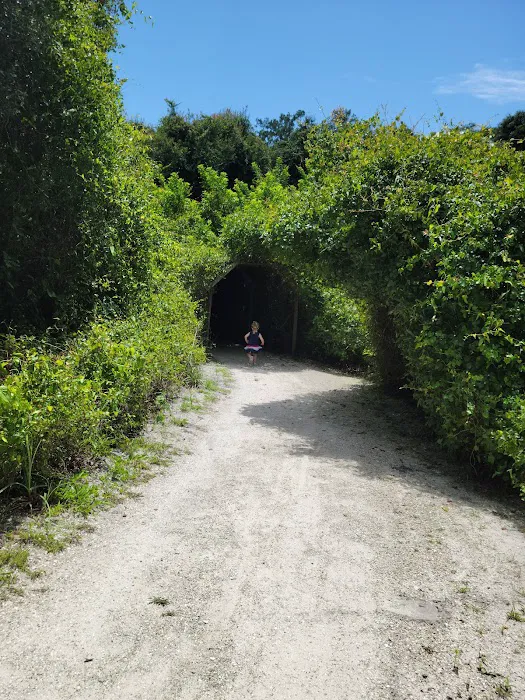 Seminole Campground Picture 5