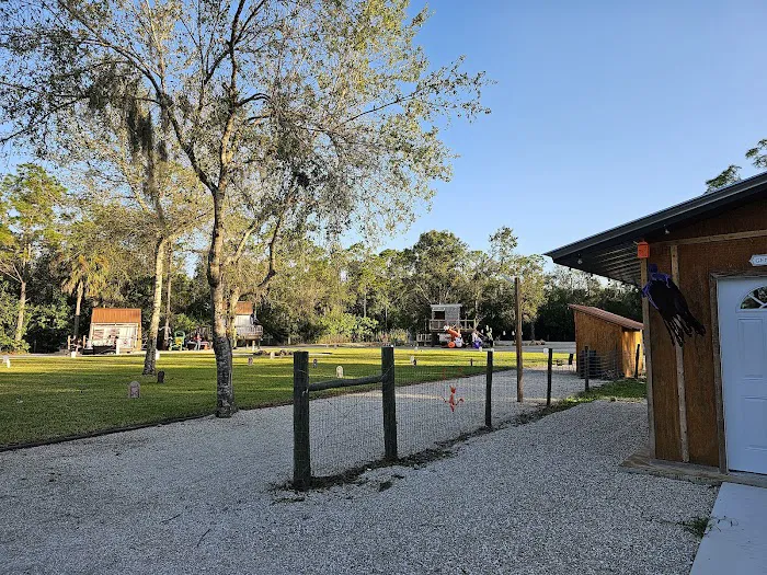 Alluring Acres - Glamp retreat Picture 5