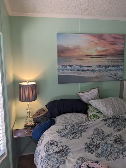 Fort Myers Beach Resort Picture 6