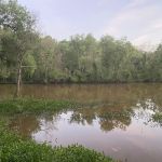 Lake Palestine Gateway RV Park