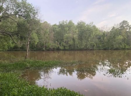 Lake Palestine Gateway RV Park