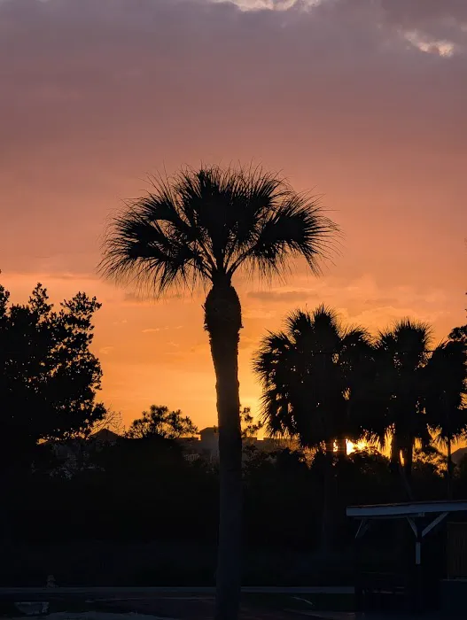 Southern Breeze Picture 4
