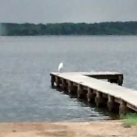 Westberry Landing & RV Park ico