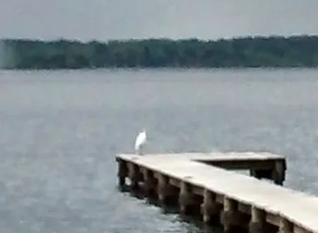 Westberry Landing & RV Park