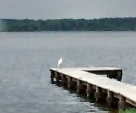 Westberry Landing & RV Park