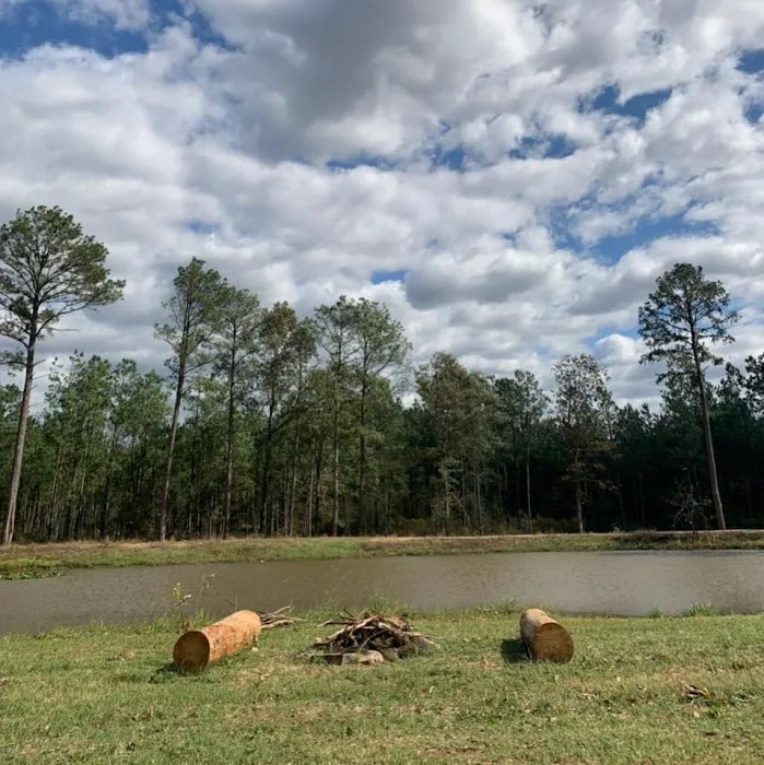 Piney Woods Village RV Park Picture 4
