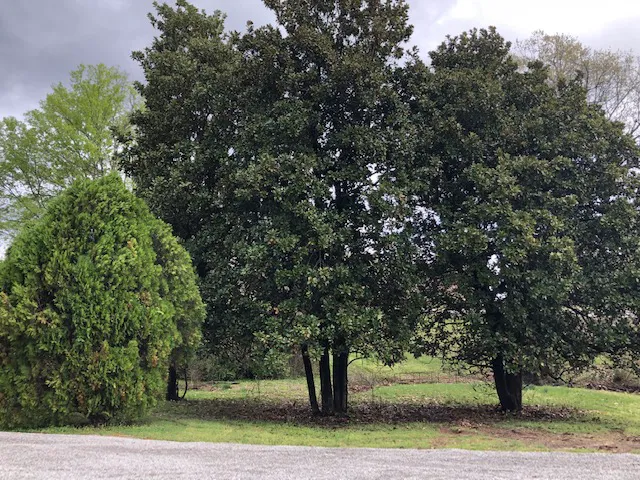 The Y Campground Picture 7