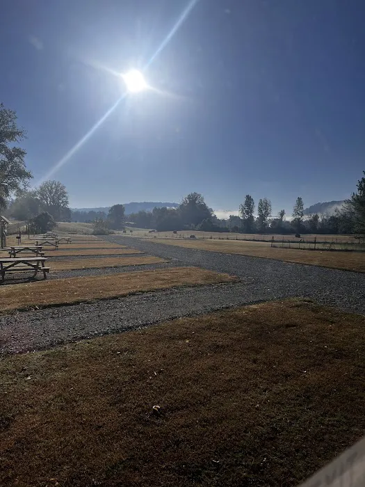Misty Mornings Arkansas Cabins and RV Sites Picture 6