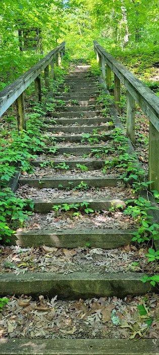 Lakeview Campground Picture 8