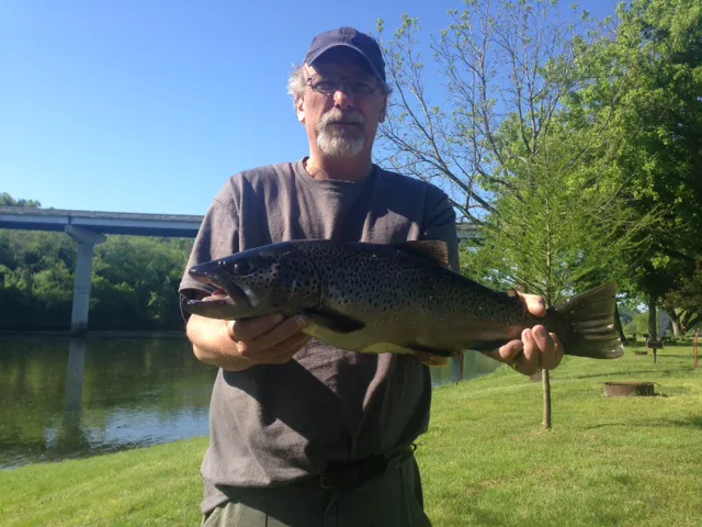 Blue Heron Campground and Resort Picture 9