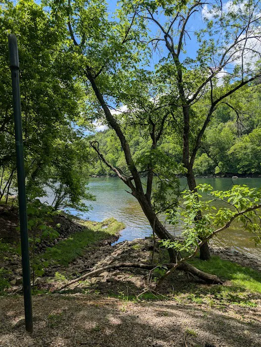 Bull Shoals White River Campground Picture 7