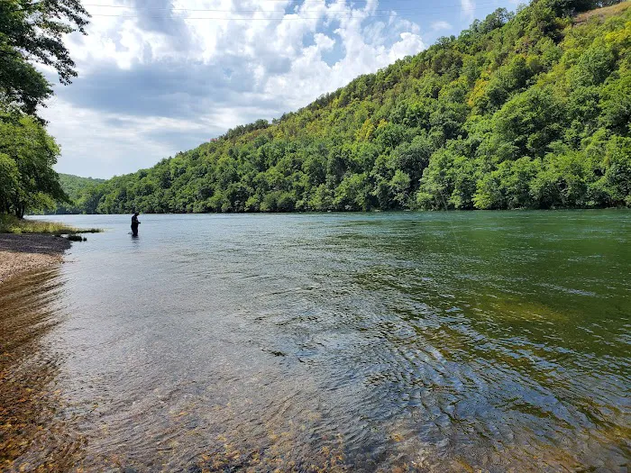 Bull Shoals White River Campground Picture 3