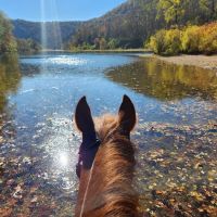 Saddle Valley Ranch Horse & RV Park ico