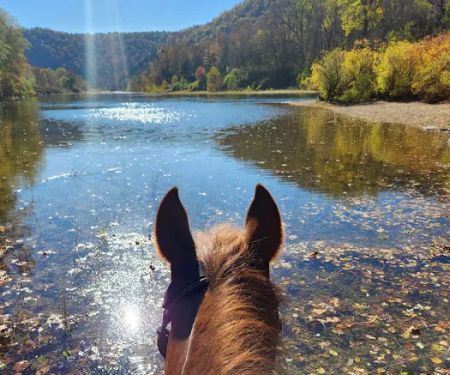 Saddle Valley Ranch Horse & RV Park