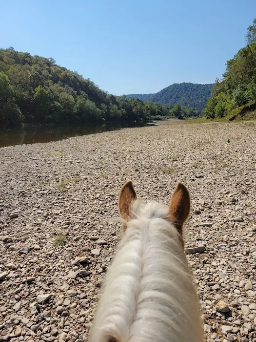 Saddle Valley Ranch Horse & RV Park Picture 2