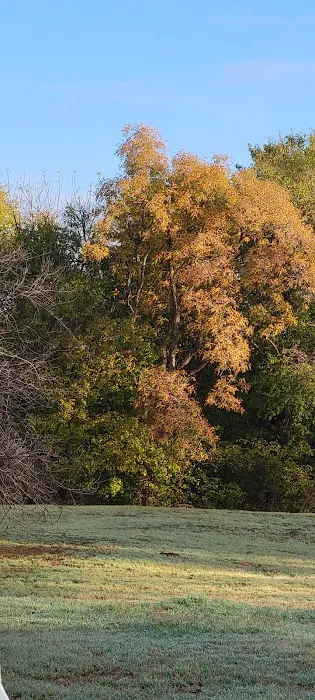 River's Bend RV Park Picture 5