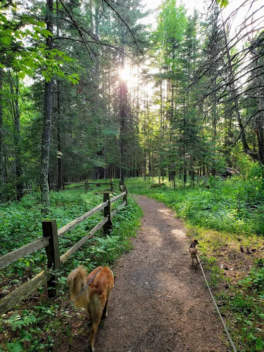 Copper Range Campground Picture 7