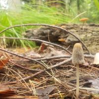 Copper Range Campground ico