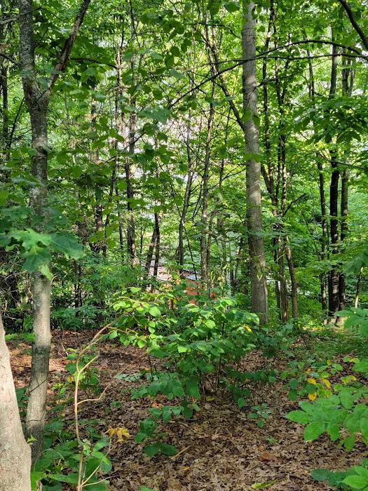 Lucius Woods County Campground and Park Picture 9