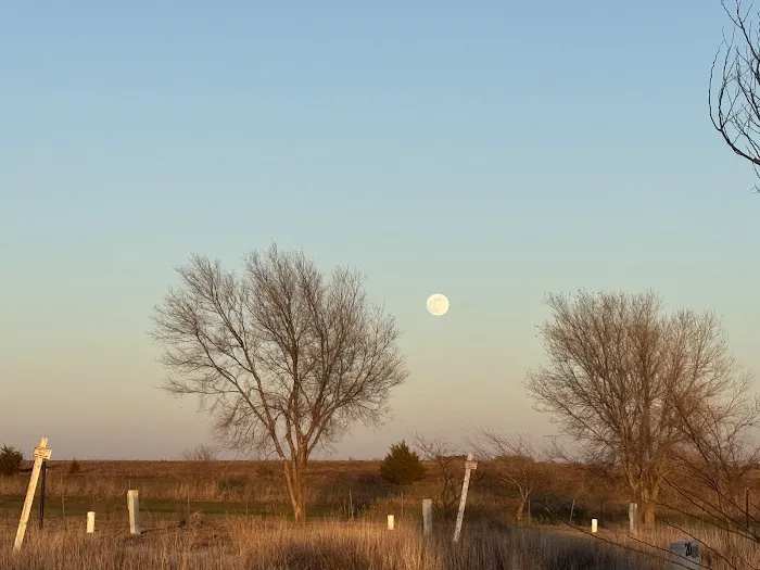Southern Winds RV Park Picture 10