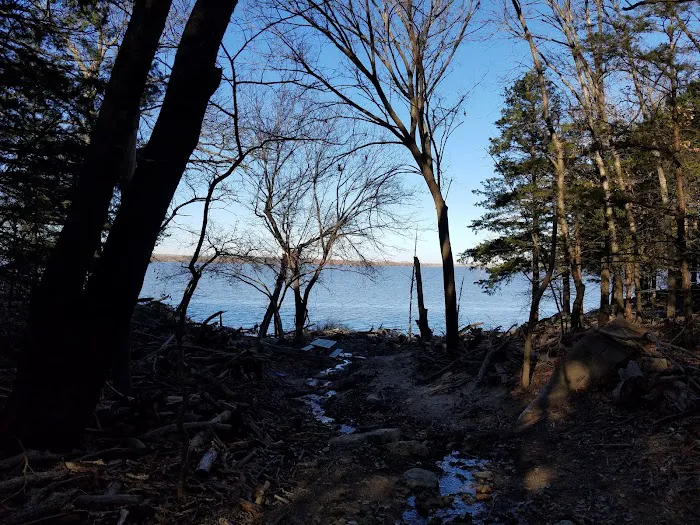 Sandbur RV Park Picture 4