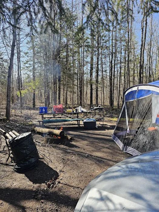 Amnicon Falls Campground Picture 8