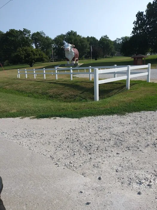 Albert the Bull Campground Picture 6