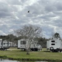Bayou Black RV Park ico