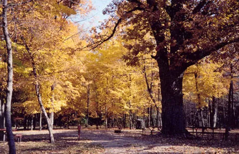 Minneapolis Northwest KOA Journey Picture 9