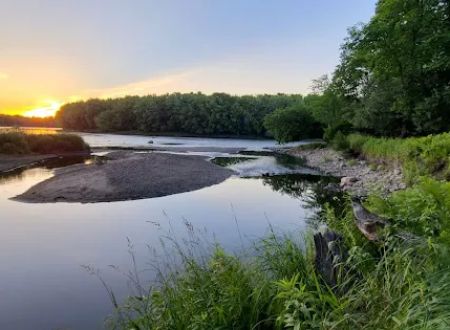 Dimmick Island Watercraft Campsite
