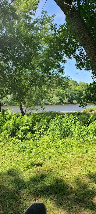 Dimmick Island Watercraft Campsite Picture 3
