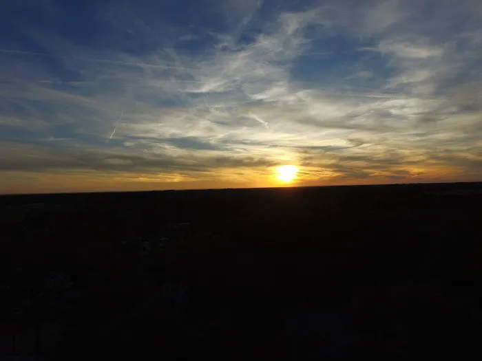 Lonestar RV Park Picture 10
