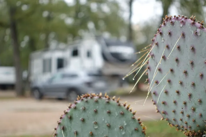 Lonestar RV Park Picture 1