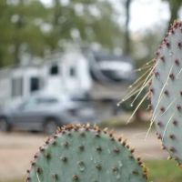 Lonestar RV Park ico