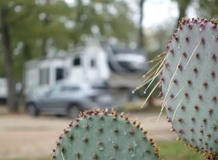 Lonestar RV Park