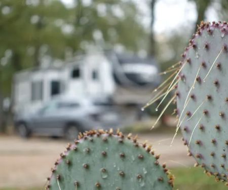 Lonestar RV Park