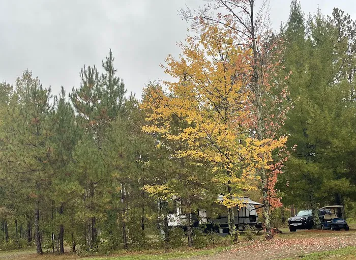 Saint Croix Pines Campground Picture 5