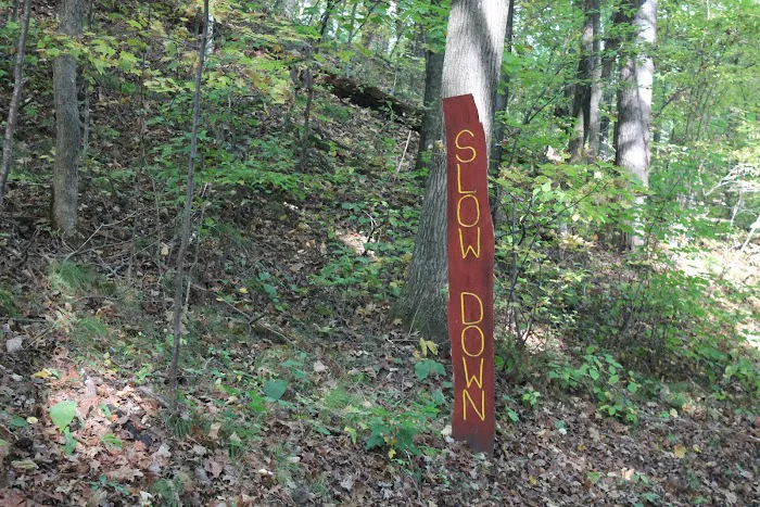 Camp Waub-O-Jeeg Picture 5