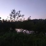 Wild River State Park 