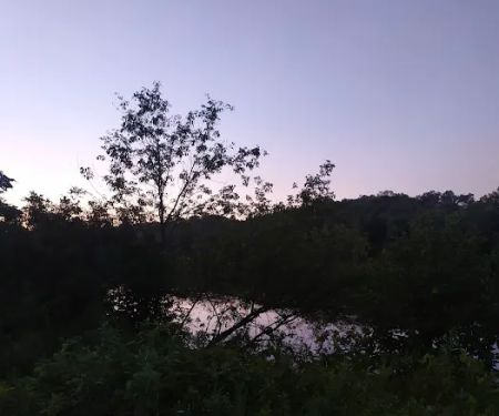 Wild River State Park 